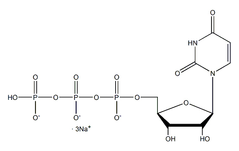 尿苷5'-三磷酸三钠盐