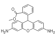二氢罗丹明123