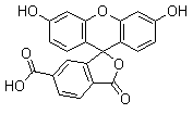6-羧基荧光素