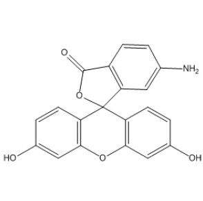 6-氨基荧光素