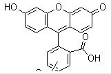 5(6)-FAM,SE