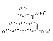 荧光素钠