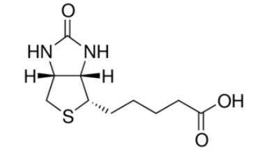 D-生物素