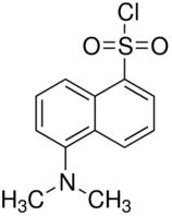 丹磺酰氯(DNSCl)