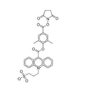 吖啶酯(NSP-DMAE-NHS)