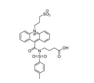 吖啶酸丙磺酸盐(NSP-SA)