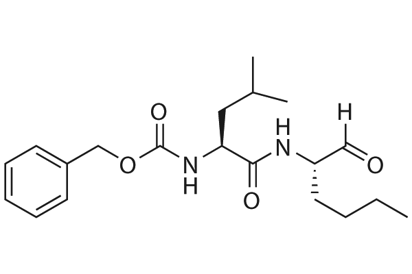 Calpeptin