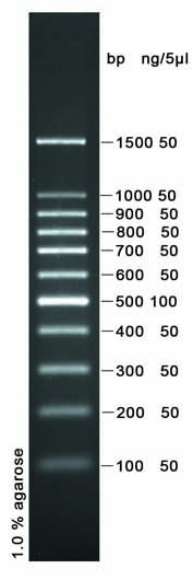 DNA Ladder(100～1500bp)