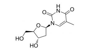 2'-脱氧胸苷(dT)