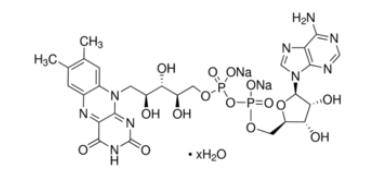 黄素腺嘌呤二核苷酸二钠盐