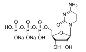 CTP.Na2；胞苷-5’-三磷酸二钠盐