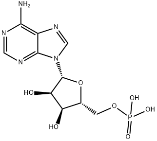 腺苷酸(AMP)