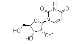 2'-甲氧基尿苷