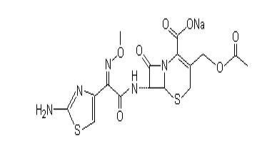 头孢噻肟钠，
