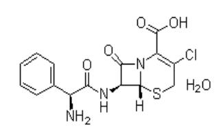 头孢克洛