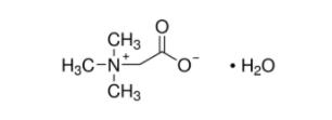 甜菜碱一水合物