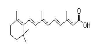 全反式视黄酸