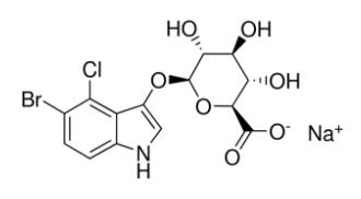 X-Gluc