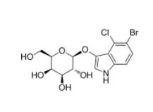 X-gal;5-溴-4氯-3吲哚基β-D半乳糖
