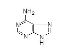 腺嘌呤