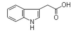 3-吲哚乙酸(IAA)