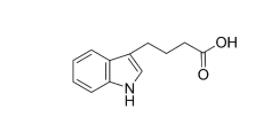 3-吲哚丁酸(IBA)