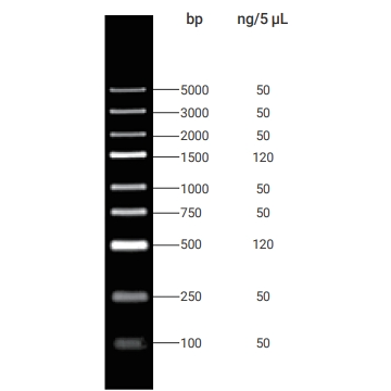 DNA Ladder(100～5000bp)