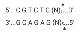 BsmB I(ADCF)