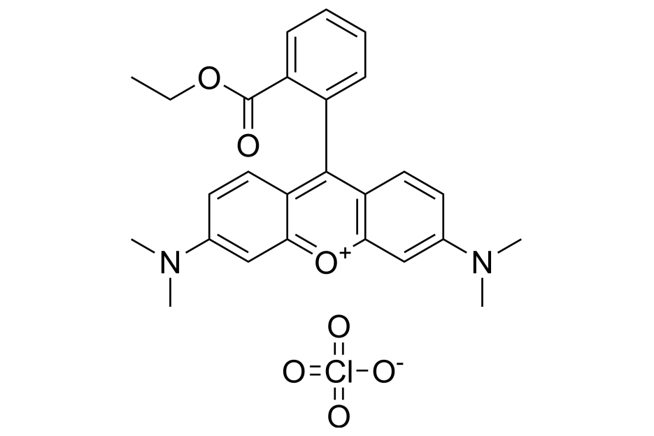 线粒体膜电位荧光探针(TMRE)