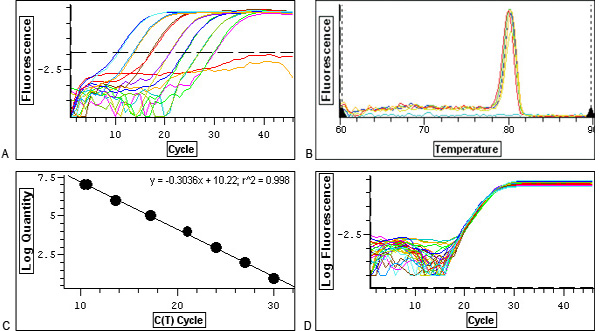 2×SYBR Green qPCR Mix