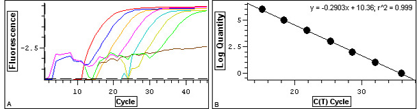 5×qPCR MasterMix(探针法)