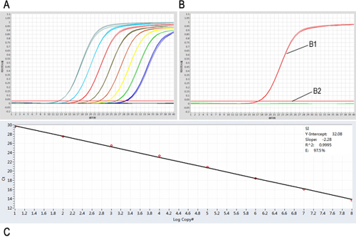 5×qPCR MasterMix(探针法，含UDG酶)