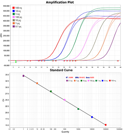 BAPAT SYBR qPCR Mix