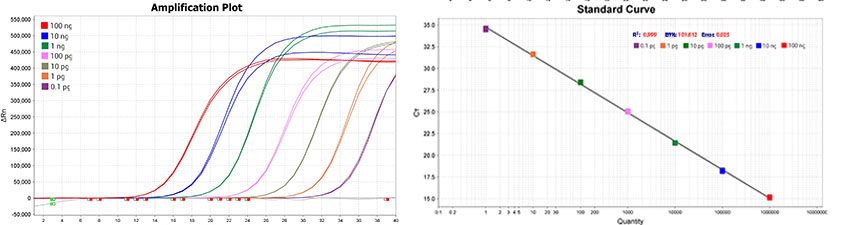 HT3G SYBR qPCR Mix