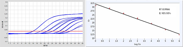 BAPAT qPCR Mix(ӫ̽)