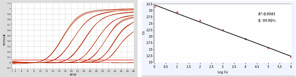 BAPAT qPCR Mix(ӫ̽)