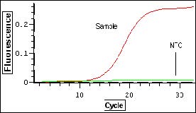 microRNA荧光定量PCR试剂盒(TaqMan探针法)