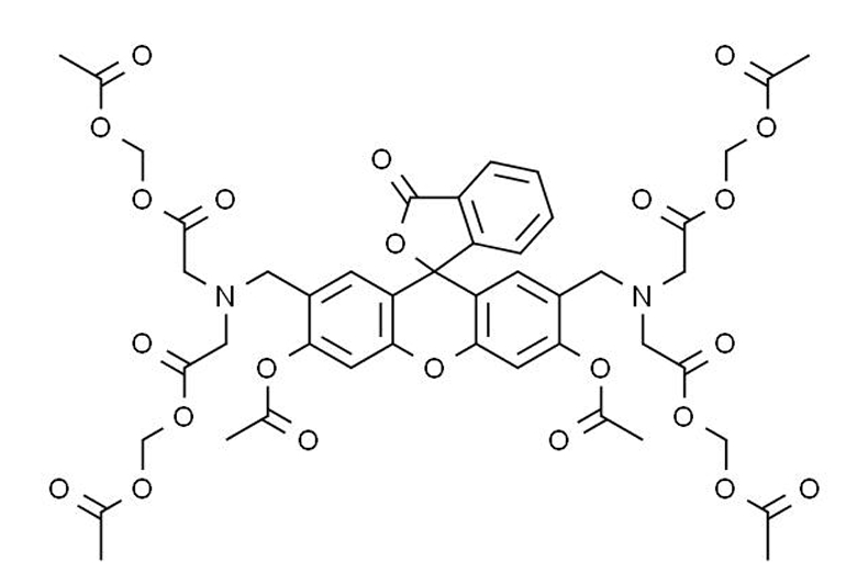 钙黄绿素乙酰甲酯(Calcein,AM)
