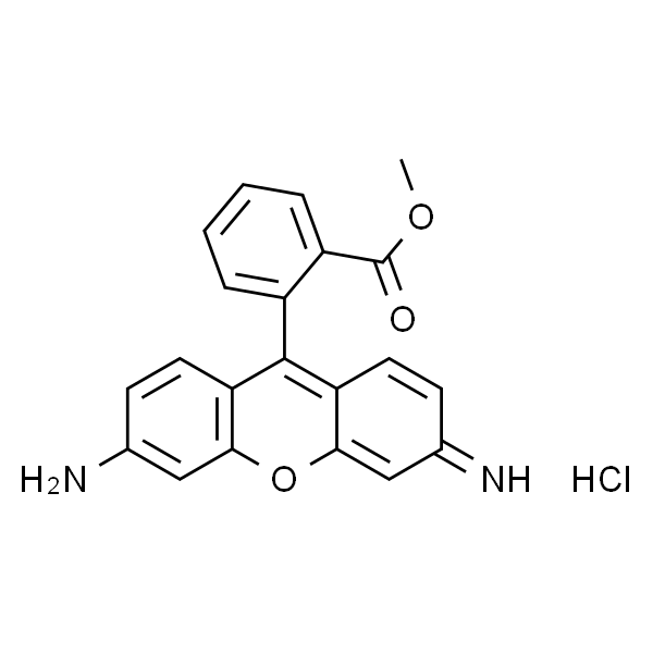 罗丹明123