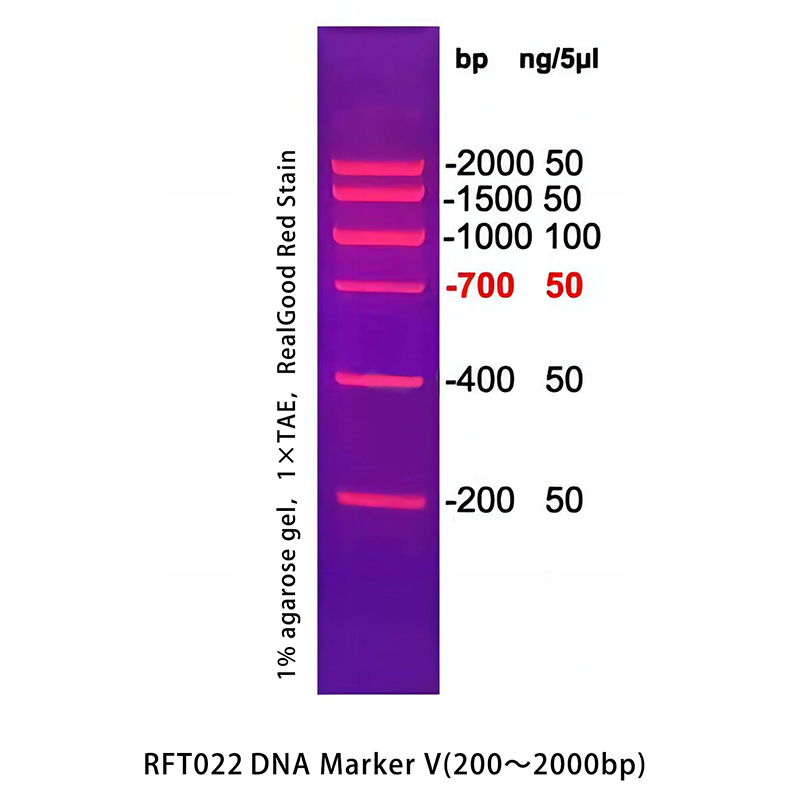 DNA Marker V(200～2000bp)