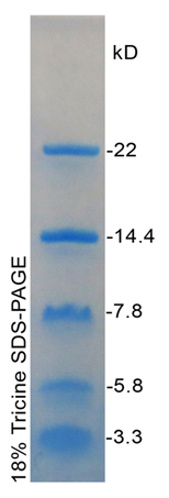 超低分子量蛋白Marker(3.3～22kD)