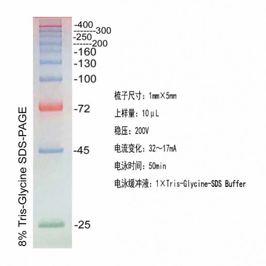 彩虹预染高分子量蛋白Marker(25～400kD)