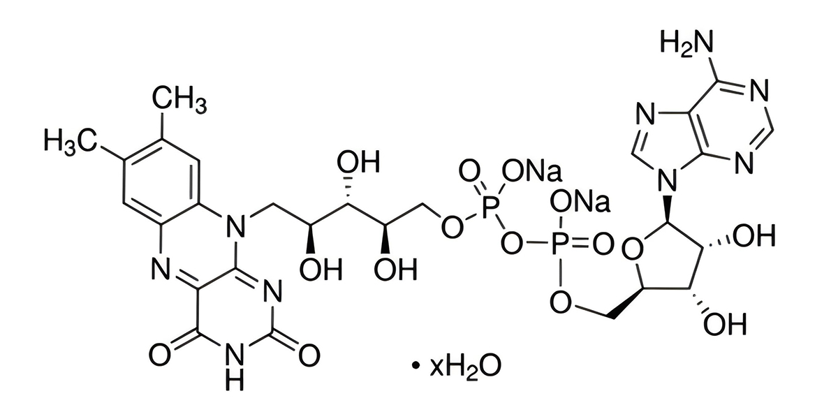 核黄素腺嘌呤二核苷酸二钠盐