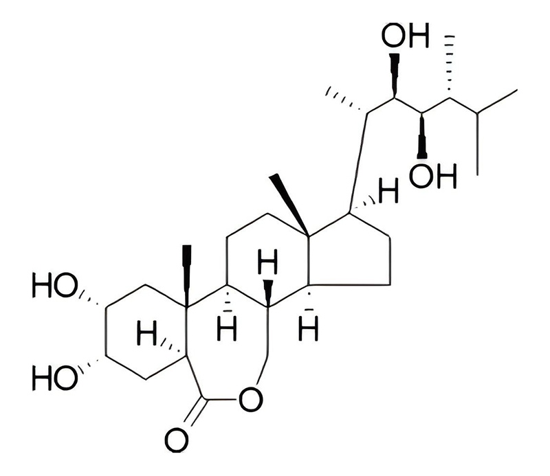 2,4-表油菜素内酯