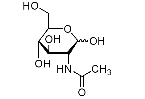 N-乙酰-α-D-氨基葡萄糖