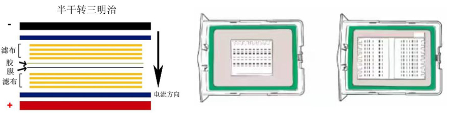 5×快速半干转转膜缓冲液