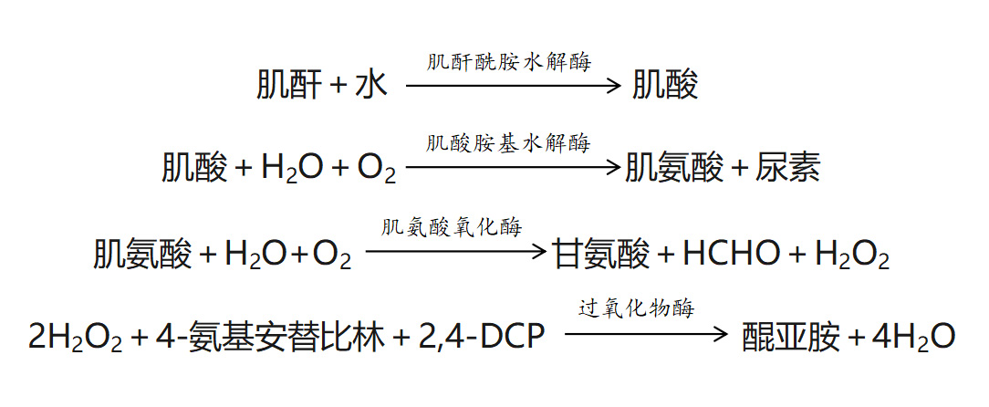 肌酐测定试剂盒(肌氨酸氧化酶法)(微板法)