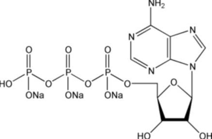 腺苷三磷酸溶液(100mM)(ATP)