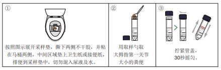 粪便采集保存管