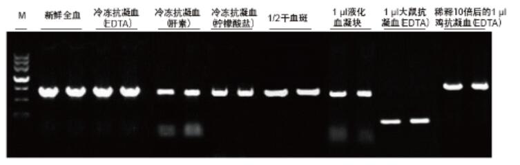 血液样本直接PCR试剂盒实例4